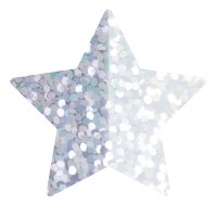 Goodtimes Folienkonfetti 1,7cm Stern 100g Holo Silber  Goodtimes Folienkonfetti 1,7cm Stern 100g Holo Silber