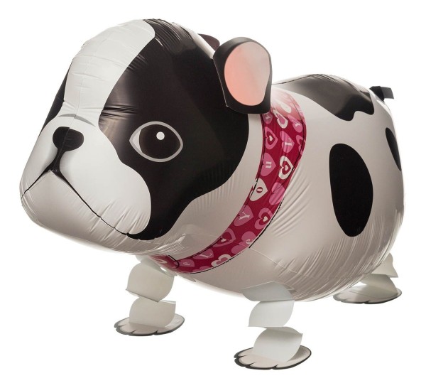 SAG Airwalker Bulldogge 55cm/21"